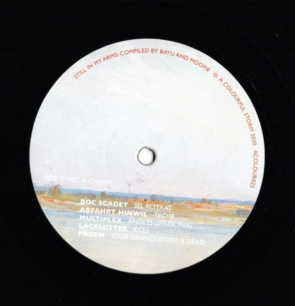 Various – Still In My Arms (LP, A Colourful Storm, 2020) Image 4