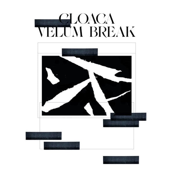 Velum Break – Cloaca (12", Analogical Force, 2021) Front Cover