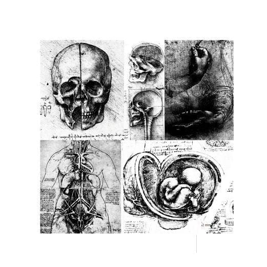 Violet Poison – Absence Generator (12", White Marbled, Veleno Viola, 2015) Front Cover