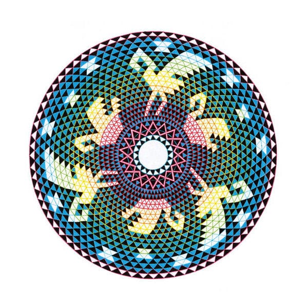 Warren Hampshire - Language Of The Birds (LP) Athens Of The North Vinyl 5050580752573