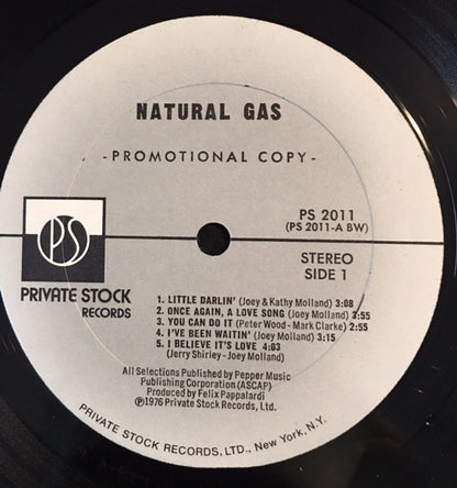 Natural Gas : Natural Gas (LP, Album, Promo)