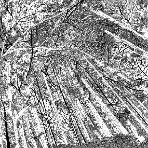 Deadbeat & Om Unit - Root, Stalk, Leaf And Bloom (2x12