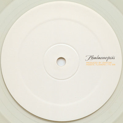 Ovatow : Phalaenopsis (12", Ltd, Yel)