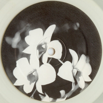 Ovatow : Phalaenopsis (12", Ltd, Yel)