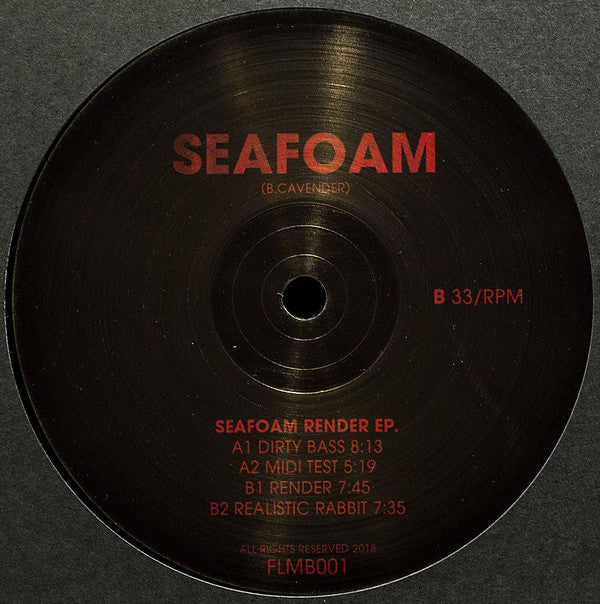 Seafoam : Render EP (12", EP)