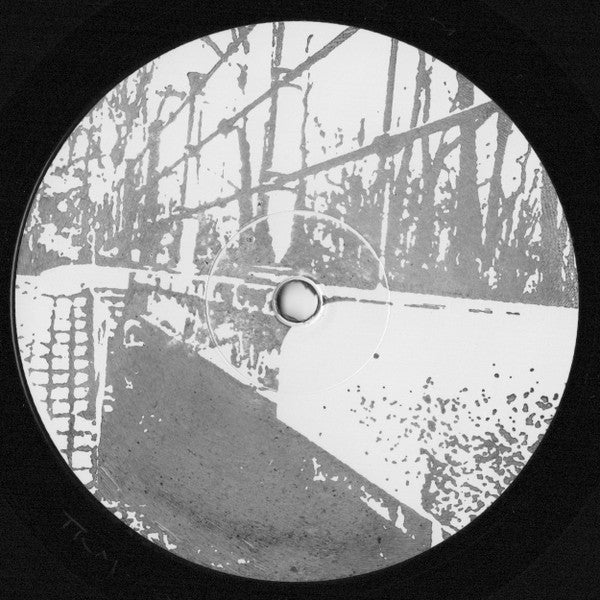 Sirko Müller* & Don Williams : Colliding Worlds EP (12", EP)
