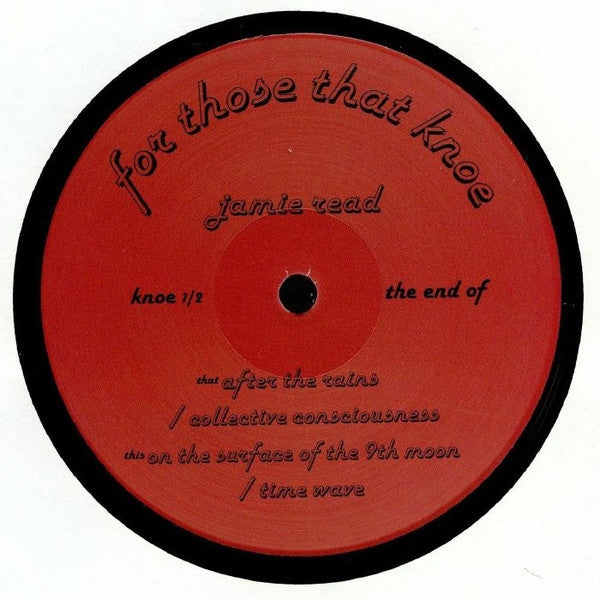 Jaime Read : The End Of (12", EP, 180)