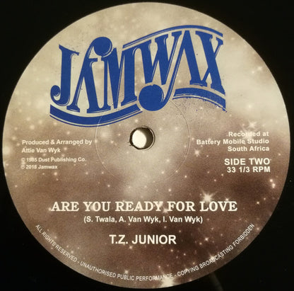 T.Z. Junior : Sugar My Love (12", Maxi)