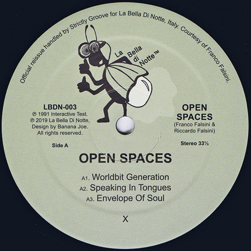 Open Spaces : Open Spaces (12", RE)