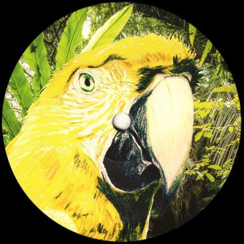 Various : DDR003 (12", RE)