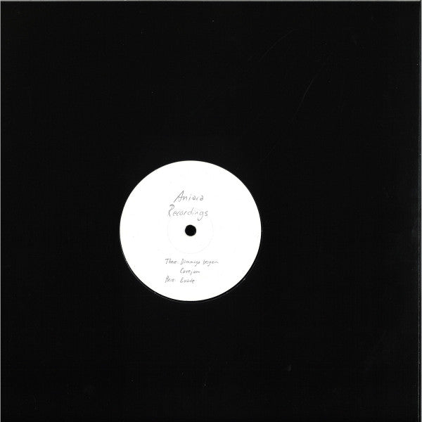 Various : AniaraVA01 (12", Comp)