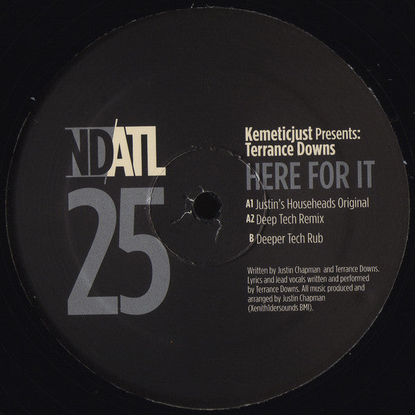 Kemetic Just Presents: Terrance Downs : Here For It (12")