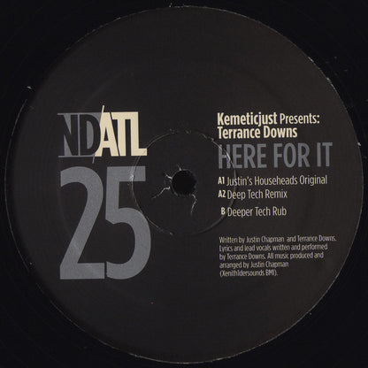 Kemetic Just Presents: Terrance Downs : Here For It (12")