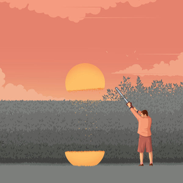 Slow Meadow : Happy Occident (LP, Album, Ltd)