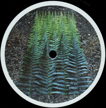 Various : Transition Vol. 1 (12", Comp, RM)