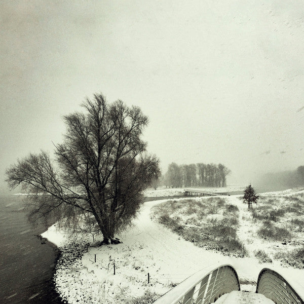 Beequeen : Winter (LP, Album)