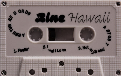 Blue Hawaii – Under 1 House (Cassette, Arbutus Records, 2020) Image 3