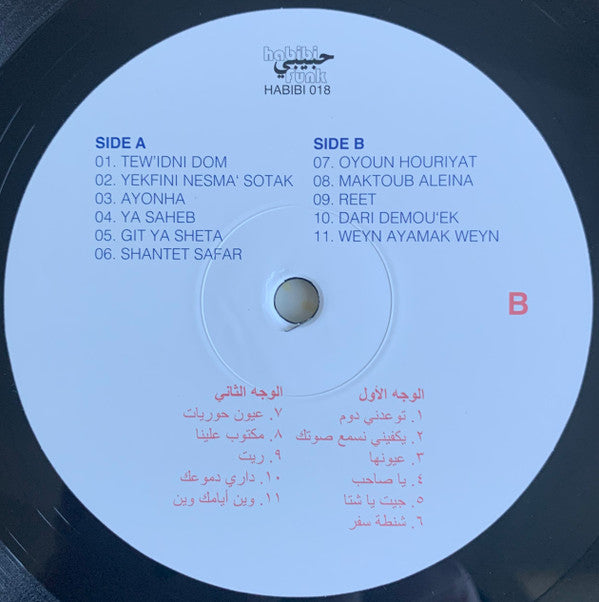 Hamid El Shaeri* = حميد الشاعري : The Slam! Years (1983-1988) (LP, Comp)