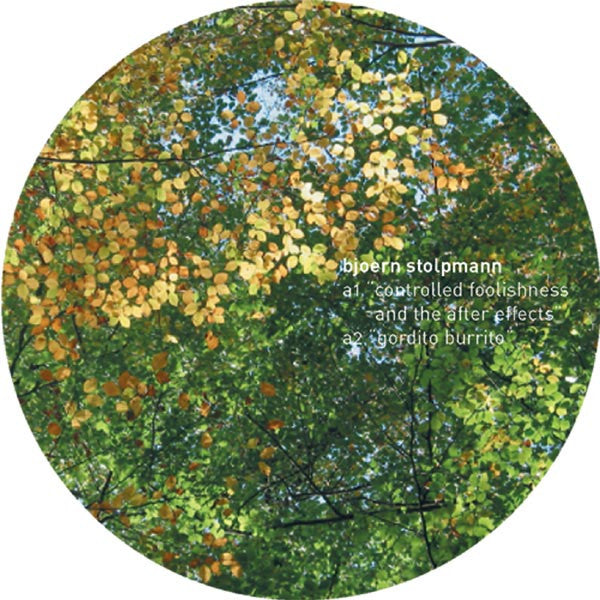 Bjoern Stolpmann : Draw Away From The Attempt (12")