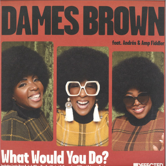 Dames Brown Feat. Andrés & Amp Fiddler : What Would You Do? (12")