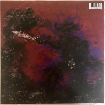 Akai Solo – Spirit Roaming (LP, Backwoodz Studioz, 2023) Front Cover
