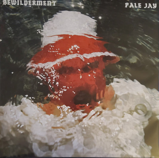 Pale Jay : Bewilderment (LP, Album)