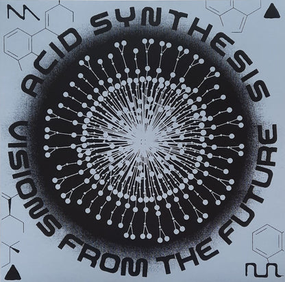 Acid Synthesis : Visions From The Future  (2xLP, Album)