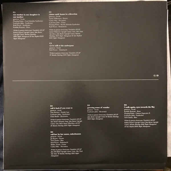 Ganavya : Like The Sky I've Been Too Quiet (2xLP)