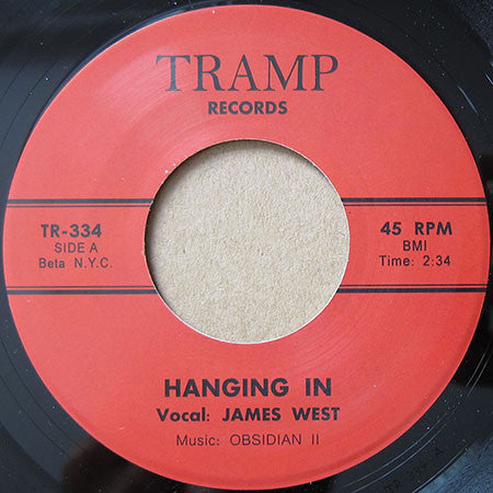 James West (3) : Hanging In (7", Single, RE)