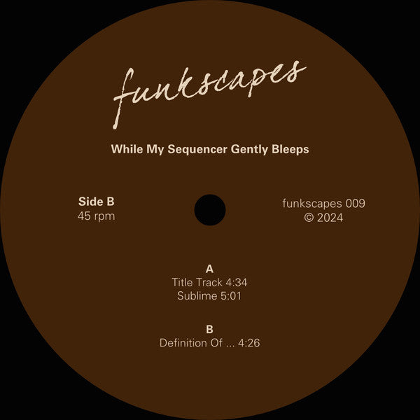 While My Sequencer Gently Bleeps – Definition Of ... (12", funkscapes, 2024) Image 4