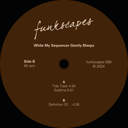 While My Sequencer Gently Bleeps – Definition Of ... (12", funkscapes, 2024) Image 4