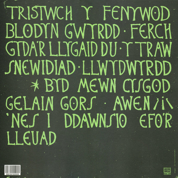 Tristwch Y Fenywod : Tristwch Y Fenywod (LP, Album, Ltd, RP, Glo)