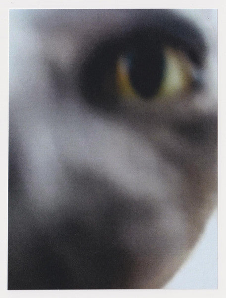 DJ Frog – Wave (12", Doo, 2024) Image 3