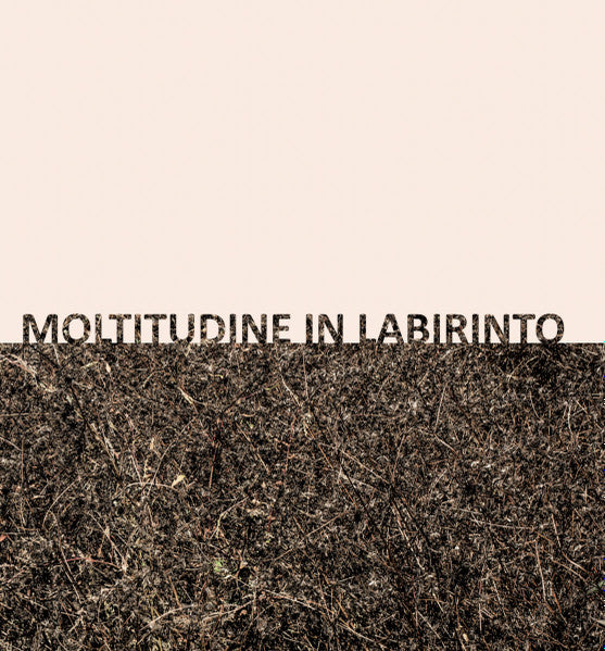 Gigi Masin & Giuseppe Caprioli : Moltitudine In Labirinto (LP, Album, Ltd, RE)