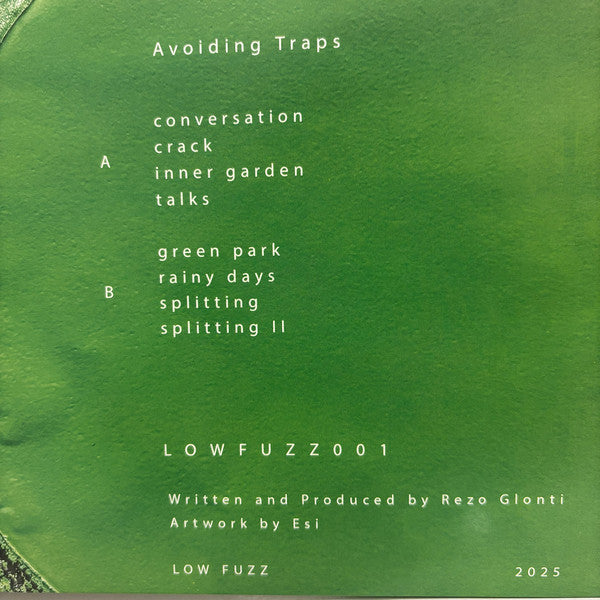 Rezo Glonti – Avoiding Traps (12", Low Fuzz, 2025) Image 3