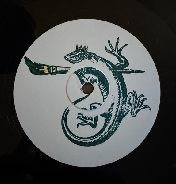 Unknown Artist – The Lizard King (12", Flipsight, 2024) Front Cover