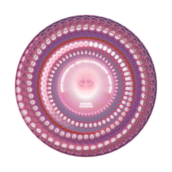 Anil Aras – When Souls Collide (12", PIV Records, 2024) Back Cover