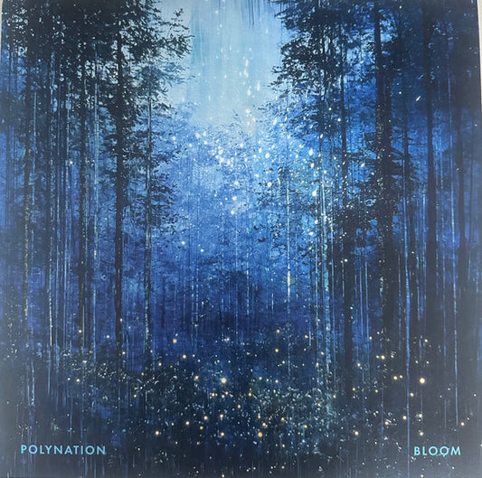 Polynation – Bloom (12", Transparent Blue, Atomnation, 2025) Front Cover