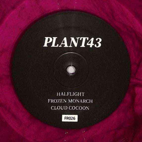 Plant43 : Frozen Monarch (12", RP, Red)