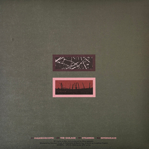Wata Igarashi – Kaleidoscopic (12", Dekmantel, 2025) Back Cover
