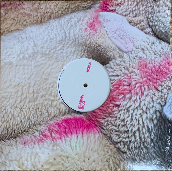 Blawan – BouQ (12", XL Recordings, 2025) Front Cover