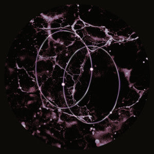 Len.Leo : Echolocation (12")