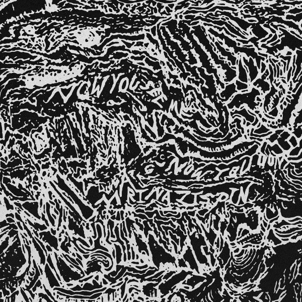 Marina Zispin : Now You See Me, Now You Don't (LP, Album, Ltd)