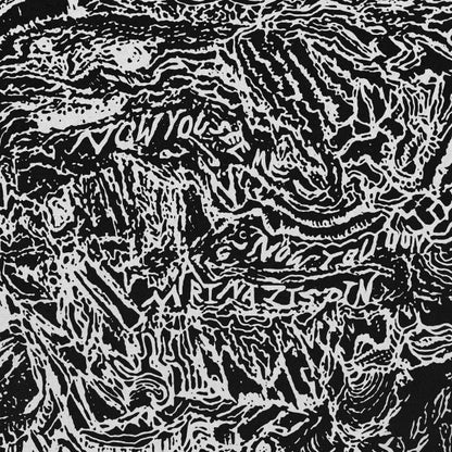 Marina Zispin : Now You See Me, Now You Don't (LP, Album, Ltd)