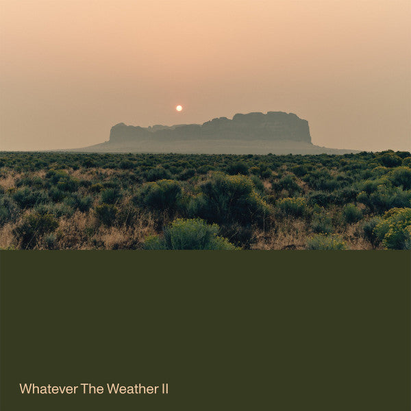 Whatever The Weather – Whatever The Weather II (LP, Dark Green, Ghostly International, 2025) Front Cover