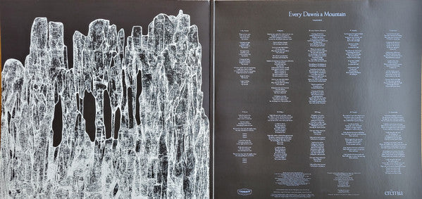 Tamino – Every Dawn's A Mountain (LP, Black & Silver Marble Effect, Communion Records, 2025) Image 4