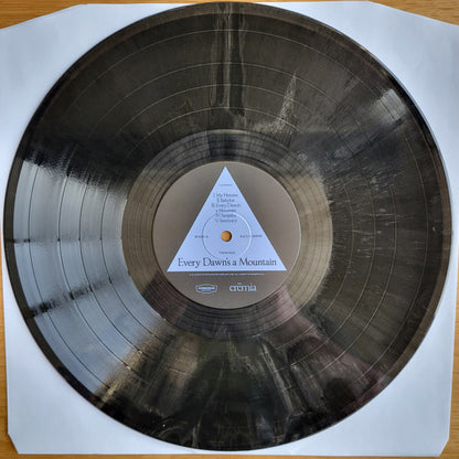 Tamino – Every Dawn's A Mountain (LP, Black & Silver Marble Effect, Communion Records, 2025) Image 5