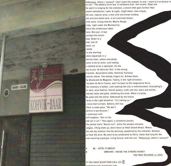 ML Ambiano – Hôtel D'Amour / Inside The Cyborg Kidney (12", TAX FREE RECORDS, 2025) Back Cover