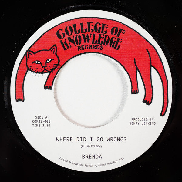 Brenda – Where Did I Go Wrong? (7", College Of Knowledge Records, 2025) Front Cover