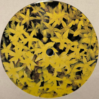 Sleep D – Big Sky, Liquid Sun (12", Butter Sessions, 2025) Image 3